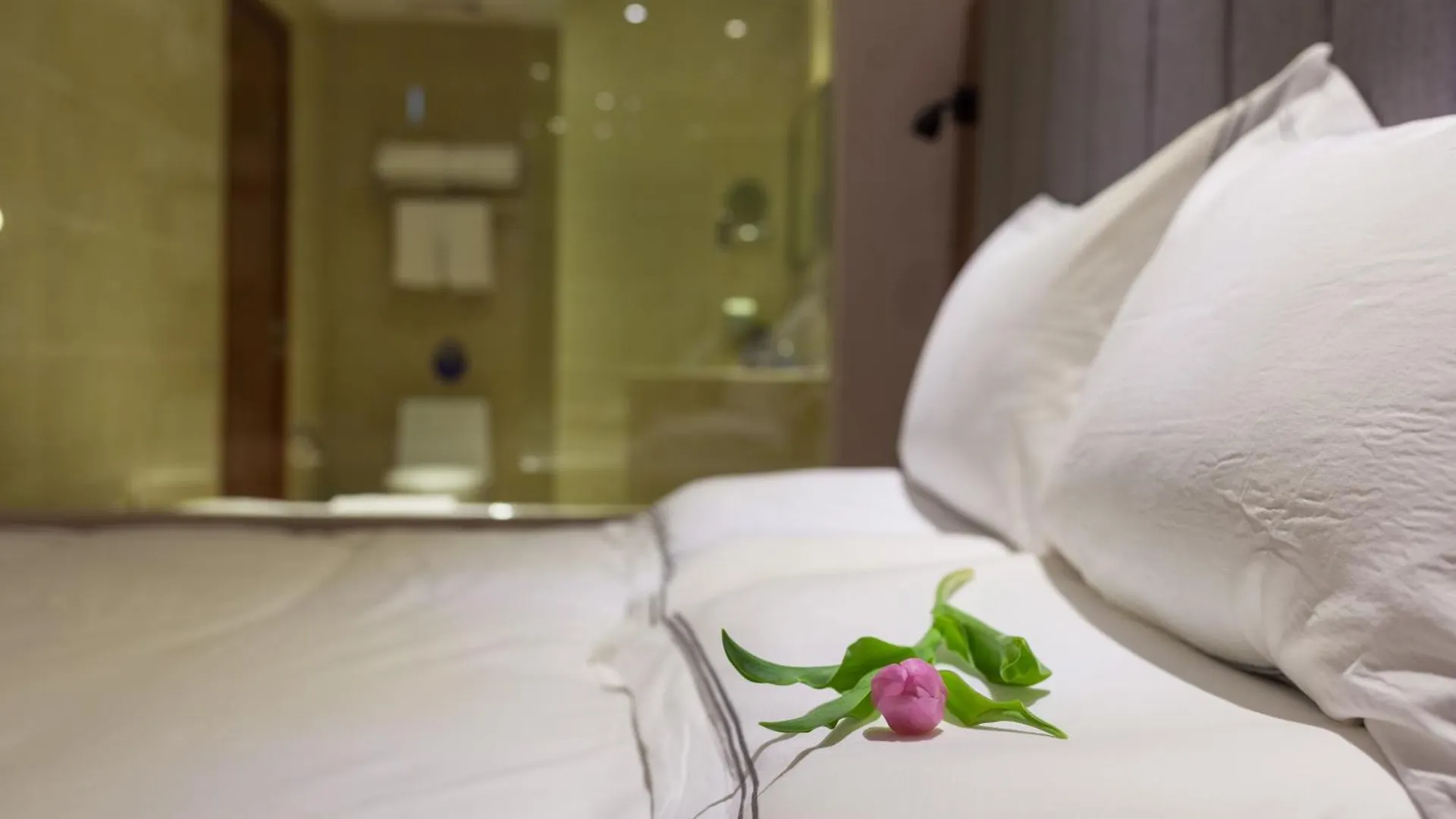 Hotel Qubic Villa Delhi Airport  New Delhi
